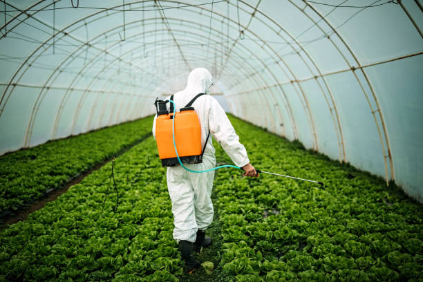 Best Best Pest Control Companies  in Crestline, CA
