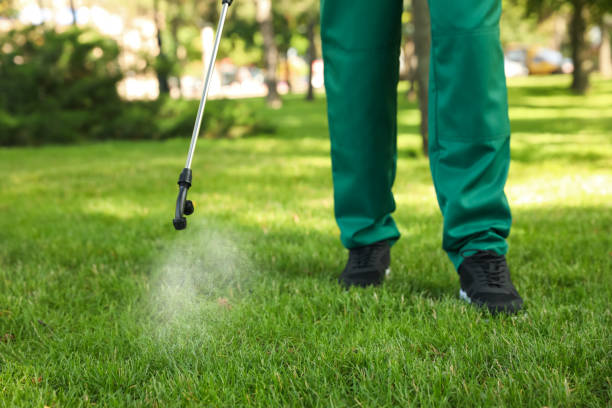 Best Pest Control Near Me  in Crestline, CA