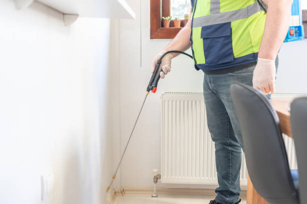 Best Local Pest Control Services  in Crestline, CA