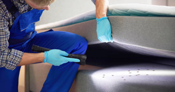 Best Rat Extermination Near Me  in Crestline, CA