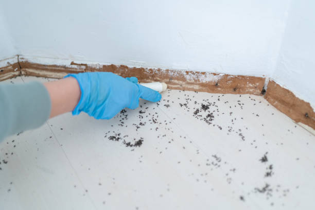 Best Exterminator Services  in Crestline, CA